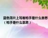 蓝色薄片上写着枪手是什么意思（枪手是什么意思）