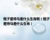 框子是特马是什么生肖呢（框子是特马是什么生肖）