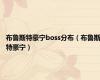 布鲁斯特豪宁boss分布（布鲁斯特豪宁）