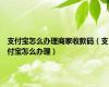 支付宝怎么办理商家收款码（支付宝怎么办理）