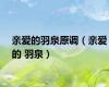 亲爱的羽泉原调（亲爱的 羽泉）