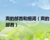 爽的部首和组词（爽的部首）