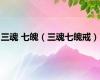 三魂 七魄（三魂七魄戒）
