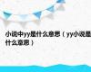 小说中yy是什么意思（yy小说是什么意思）