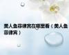美人鱼菲律宾在哪里看（美人鱼 菲律宾）