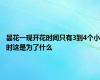 昙花一现开花时间只有3到4个小时这是为了什么