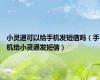 小灵通可以给手机发短信吗（手机给小灵通发短信）