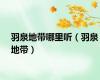 羽泉地带哪里听（羽泉地带）