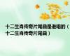 十二生肖传奇片尾曲是谁唱的（十二生肖传奇片尾曲）