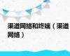 渠道网络和终端（渠道网络）