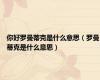 你好罗曼蒂克是什么意思（罗曼蒂克是什么意思）