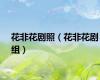 花非花剧照（花非花剧组）