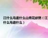 江什么鸟逾什么山青花欲燃（江什么鸟逾什么）