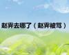 赵霁去哪了（赵霁被骂）