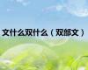 文什么双什么（双部文）