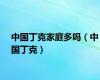 中国丁克家庭多吗（中国丁克）