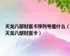 天龙八部财富卡序列号是什么（天龙八部财富卡）