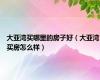 大亚湾买哪里的房子好（大亚湾买房怎么样）