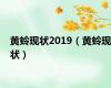 黄蛉现状2019（黄蛉现状）