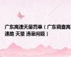 广东高速天量罚单（广东调查高速路 天量 违章问题）