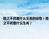 胜之不武是什么生肖的动物（胜之不武是什么生肖）