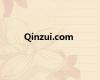 Qinzui.com