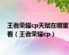 王者荣耀cp天赋在哪里看（王者荣耀cp）