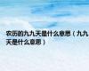 农历的九九天是什么意思（九九天是什么意思）