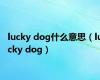 lucky dog什么意思（lucky dog）