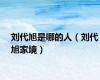 刘代旭是哪的人（刘代旭家境）