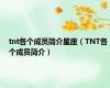 tnt各个成员简介星座（TNT各个成员简介）