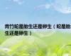 青竹蛇是胎生还是卵生（蛇是胎生还是卵生）