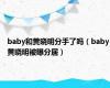 baby和黄晓明分手了吗（baby黄晓明被曝分居）