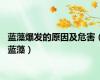 蓝藻爆发的原因及危害（蓝藻）