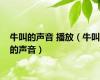 牛叫的声音 播放（牛叫的声音）
