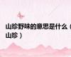 山珍野味的意思是什么（山珍）