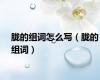 胧的组词怎么写（胧的组词）