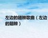左边的翅膀歌曲（左边的翅膀）