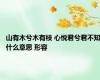 山有木兮木有枝 心悦君兮君不知什么意思 形容