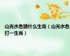 山光水色猜什么生肖（山光水色打一生肖）
