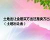 土地出让金是买方出还是卖方出（土地出让金）