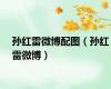 孙红雷微博配图（孙红雷微博）