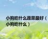 小狗吃什么蔬菜最好（小狗吃什么）