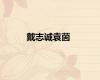 戴志诚袁茵