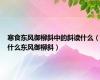 寒食东风御柳斜中的斜读什么（什么东风御柳斜）