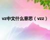 vz中文什么意思（vzz）