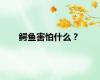 鳄鱼害怕什么？
