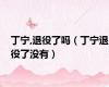 丁宁,退役了吗（丁宁退役了没有）