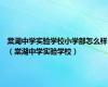 棠湖中学实验学校小学部怎么样（棠湖中学实验学校）