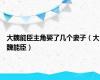 大魏能臣主角娶了几个妻子（大魏能臣）